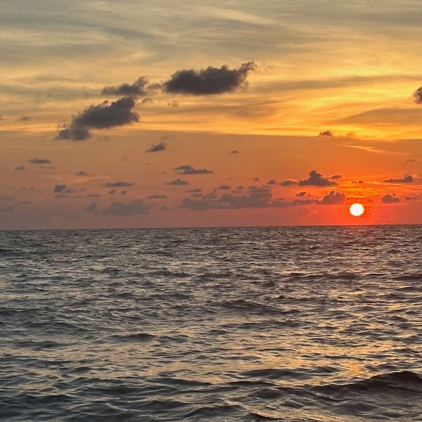 Magical Suite: Pool, Sauna, AC, Wi-Fi and More in Awesome Quite Venice-Florida