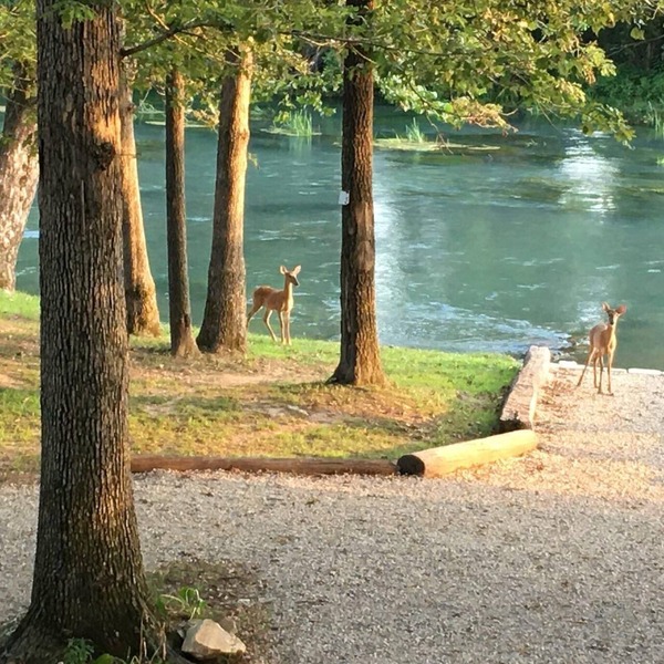 Mammoth Spring Retreat. Gated for privacy, Five cabins, one price. On the River