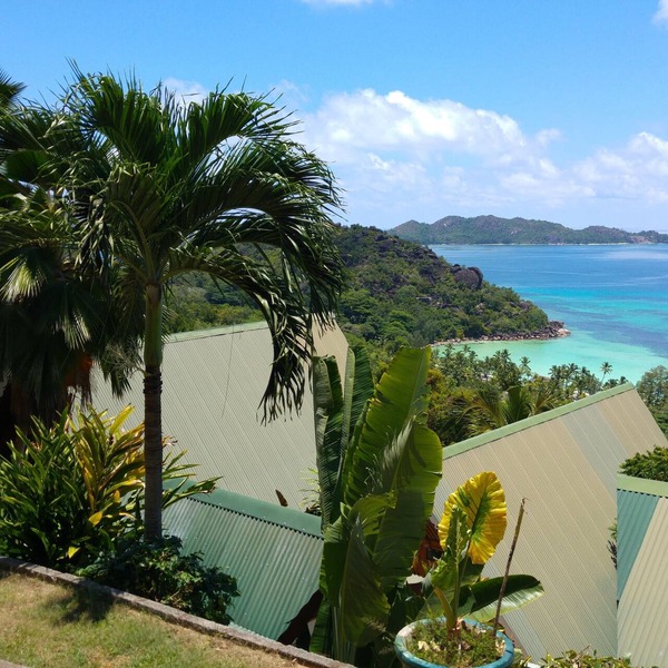 Mango Lodge