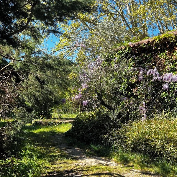 Mas Authentique Dans les Alpilles à 5 mn de Saint Rémy de Provence