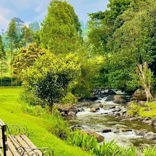 Mathioya River Lodge