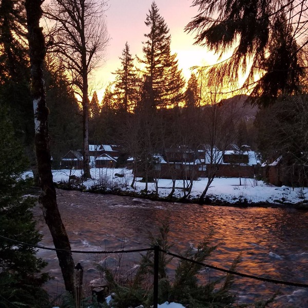 Mckenzie River Cabin #13 at the Log Cabin Inn, screened porch, .5mi Trailhead
