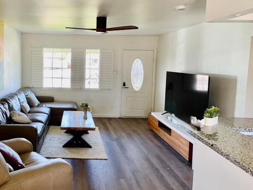 Mid centry Modern & Pool