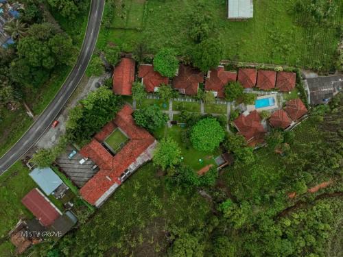 Misty Grove Resort