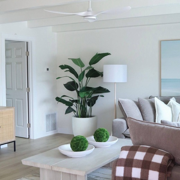 Modern Beachside King Suite on Englewood Beach