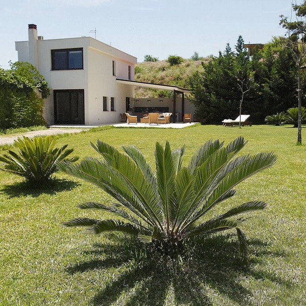 Modern cube Villa with garden
