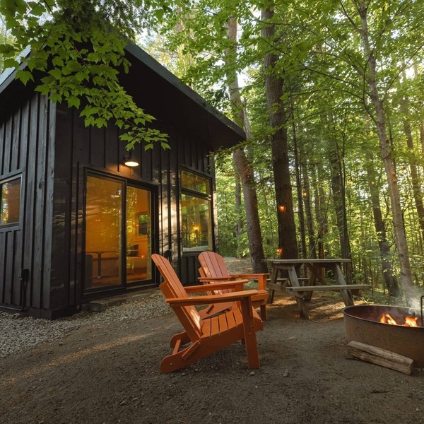 Modern, Luxurious Cabin in the Woods - 03