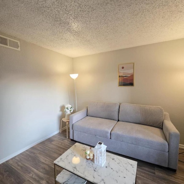 Modern Luxury 1BR Apt Near AT&T Stadium & Six Flags - Free Parking