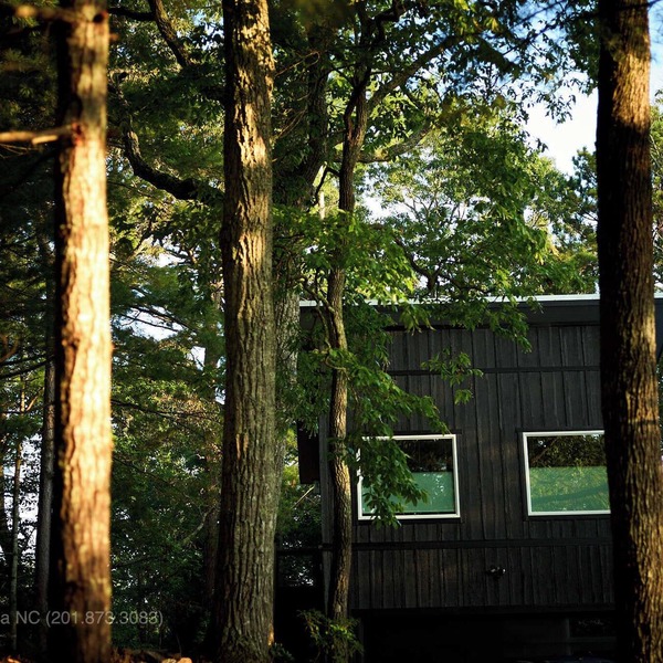 Modern Studio w/Stunning Views & Treehouse Feel