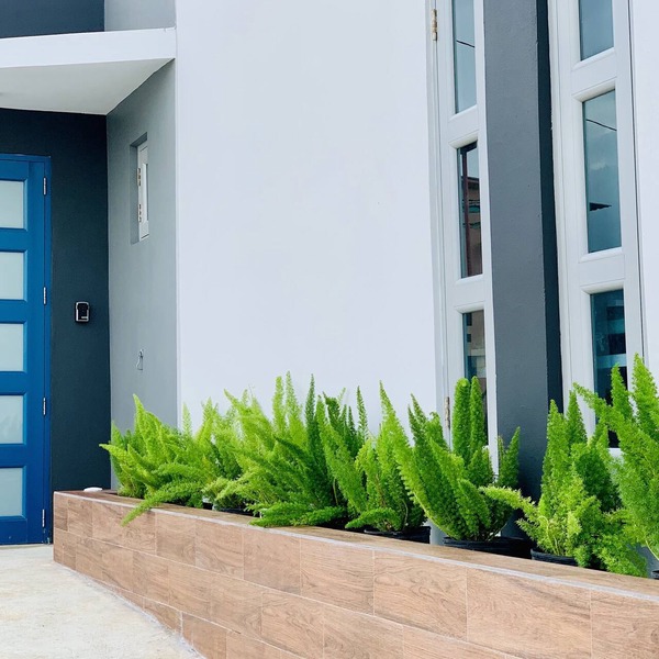 Modern Suite - Pasavento Building