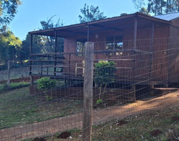 Mongoose Cabin