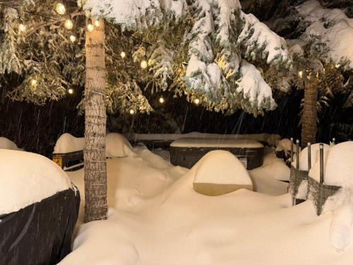 Moonridge Bear Mountain Cabin Hot Tub Pet Friendly Walk to Slopes Hike Golf Zoo