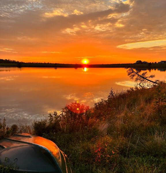 Moose River Cottage
