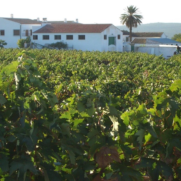 Moriles Traditional Farmhouse for 8