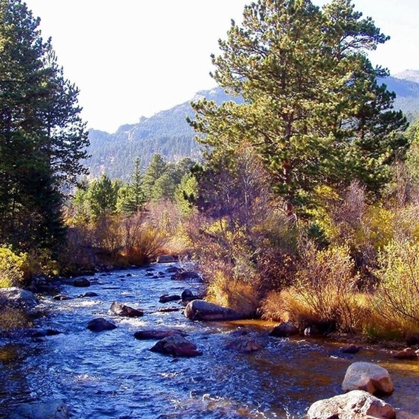 Mountain Masterpiece - Beautiful Cabin On 2.2 Acres At Wildbasin 3 Bedroom Cabin