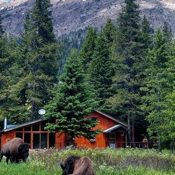 Mountain View House Right on Soda Butte Creek
