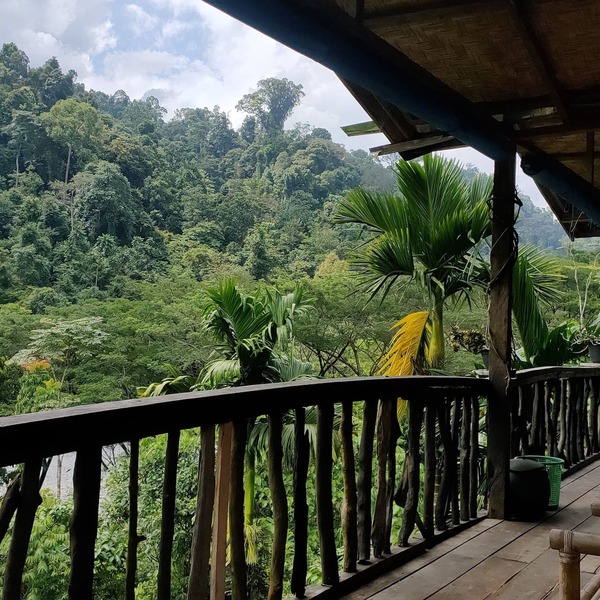 Mountain View Cottages & Villa Tangkahan