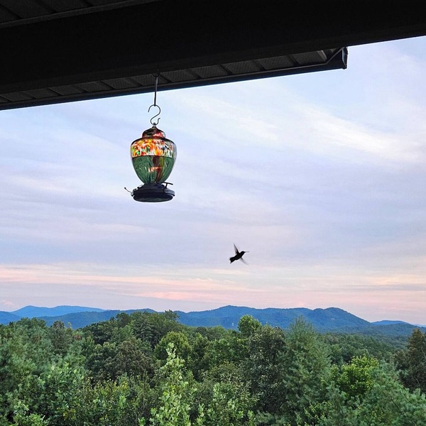 Mountain Views All Year! Charming 3-Bed Cabin Just Minutes from Downtown