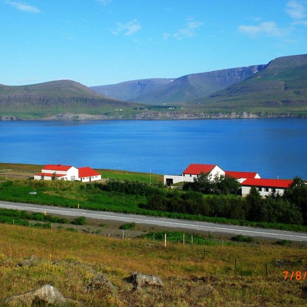 Námshestar