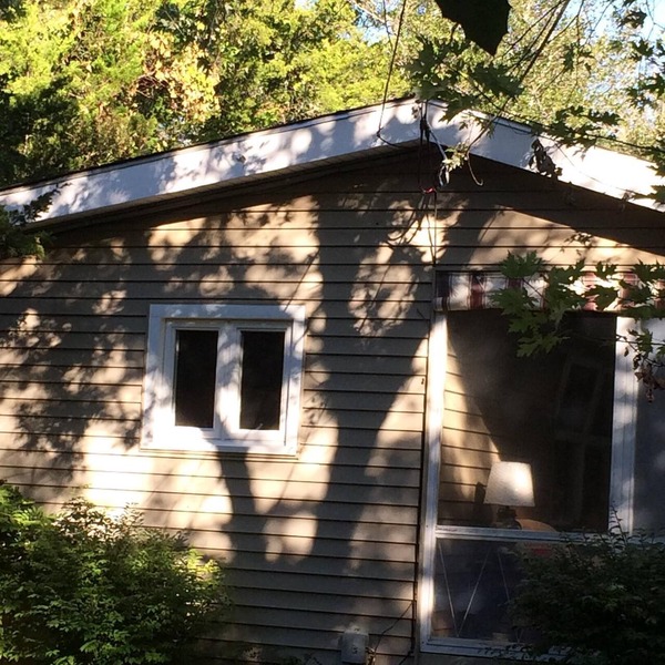 Natural Beach Beauty! Mid century modern,dog-friendly.
