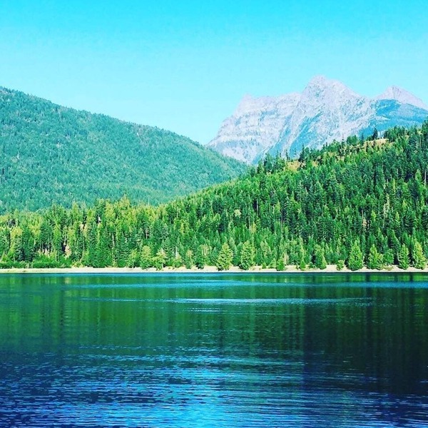 Nature Lover's Dream. Tiny Cabin with Grand Serenity.