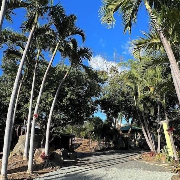 Nature's Peaceful Estate, 4 Villa w/Private Pool