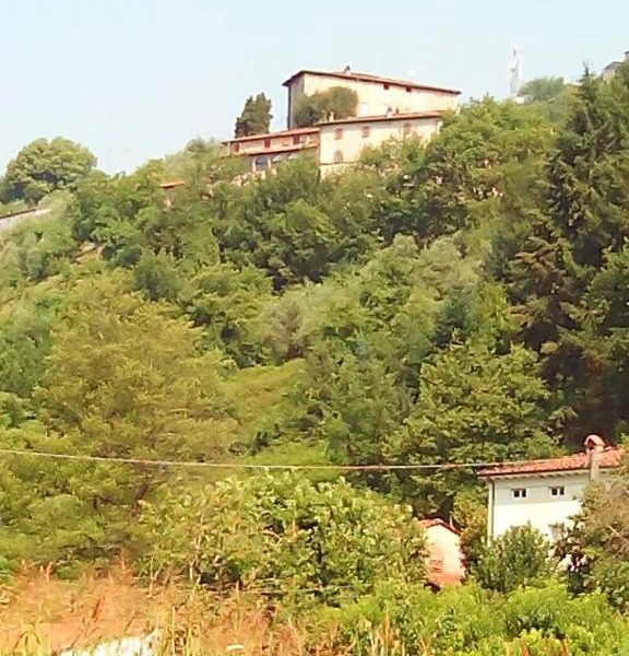 Nel Colle