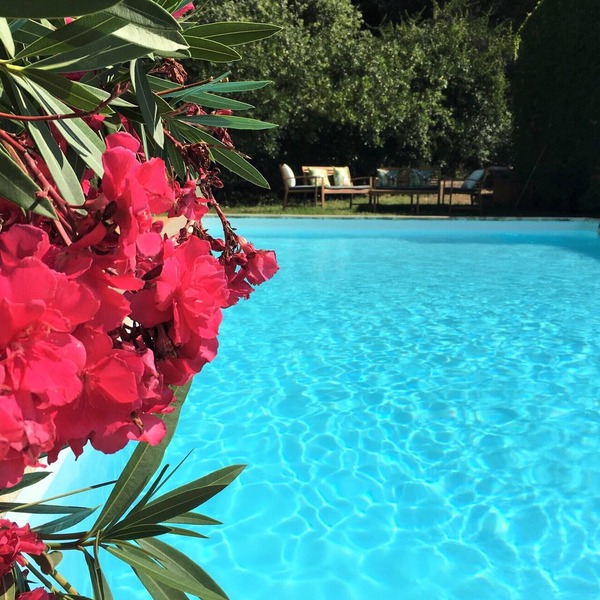 New ! Enchanting Villa 4 bedrooms 4 bathrooms