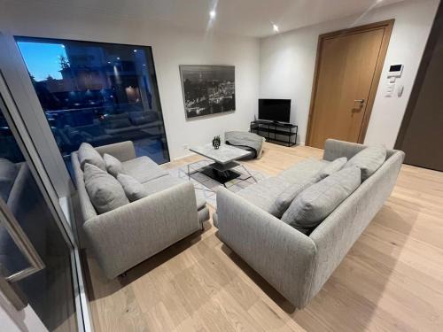 Newly built 2-Bed Flat with parking in Pully