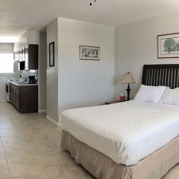 Nice Studio Suite - Minutes from everything