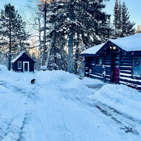 North Shore Tiny Log Cabin Retreat