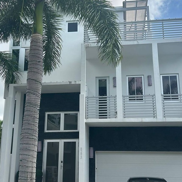 Oasis