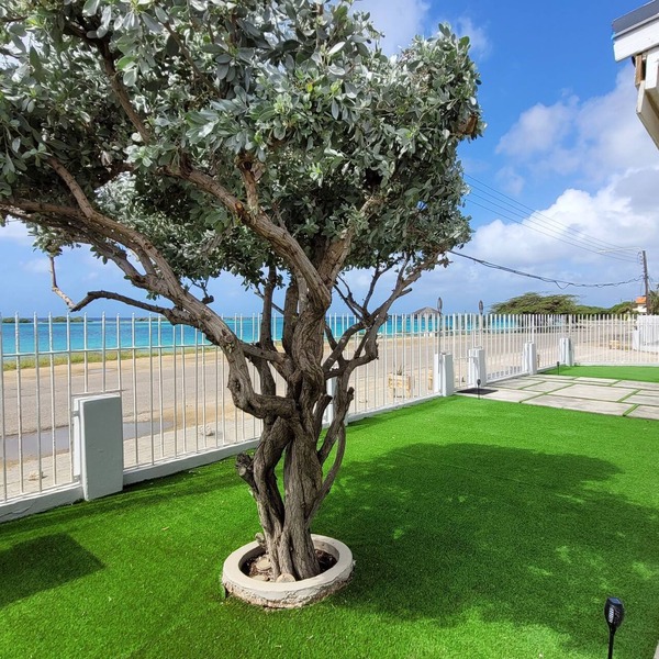 OCEAN FRONT-SUNSETS-PRIVATE POOL 2 or 3 bedrooms