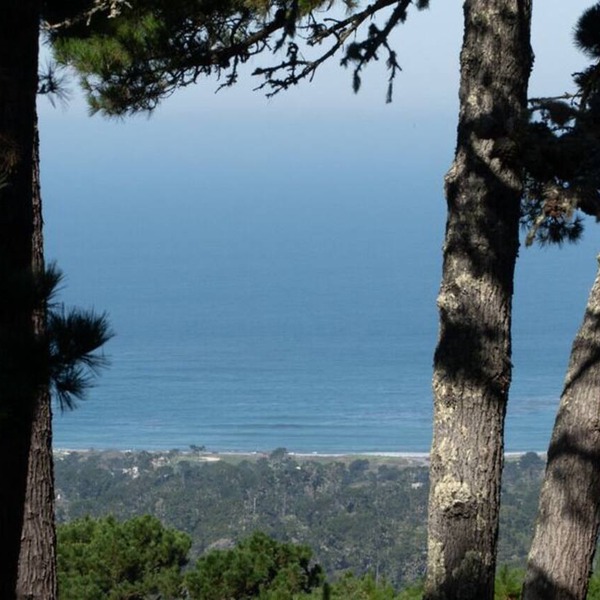 Ocean Pines #50 - Pebble Beach Condo - Oceanview, Top Floor with Elevator