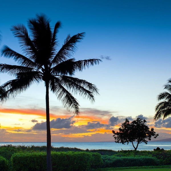 OCEANFRONT Bliss! FIXED UNIT 1414 Building 1 3BR, 2BA, sleeps 8