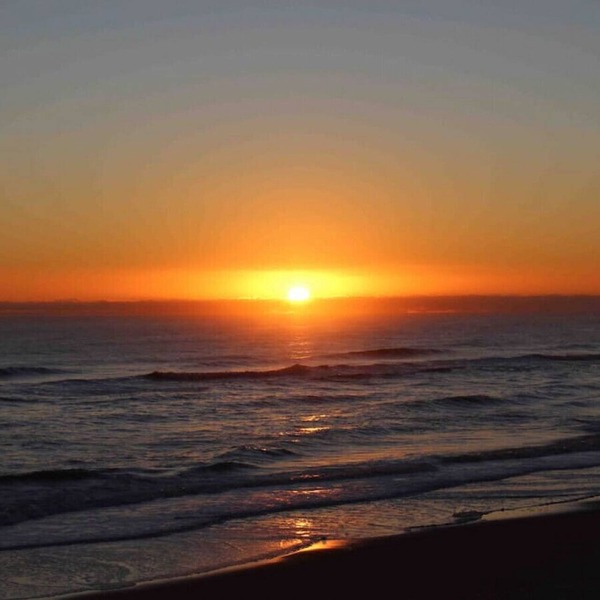 Oceanfront Cottage, S Nags Pet Friendly! MP19