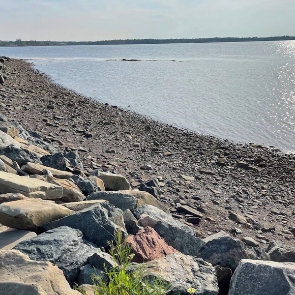 Oceanfront Cozy 2 bed Cottage in Brule Shore, pet friendly, firepit, heat/AC
