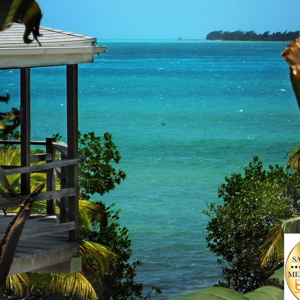 OCEANFRONT ECO-CHIC HOME WITH INFINITY POOL, DOCK, AIR CONDITIONER & TV