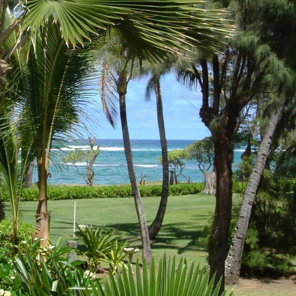 OCEANFRONT to Walking Path & Beach TVNC #1287
