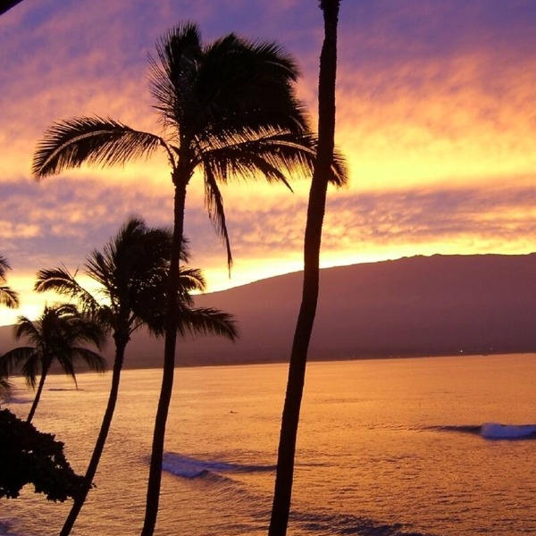 OCEANFRONT - TWO OCEANVIEW bedrooms - 20 feet from water - Kanai a Nalu 401