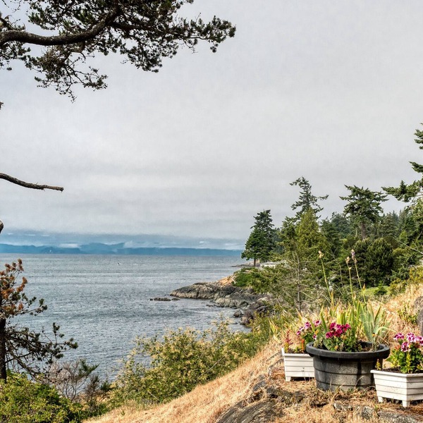 Oceanfront West Coast Vacation Home-Surfside Cottage with hot tub