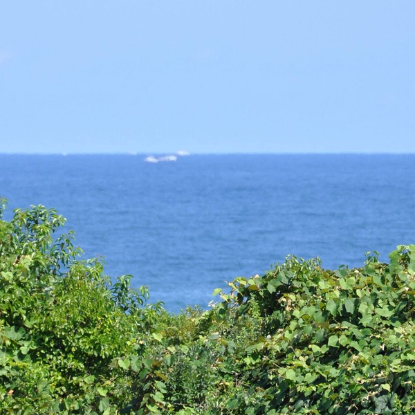 Oceanview Studio 6, Twin Pond walk to Town/Beach Pass