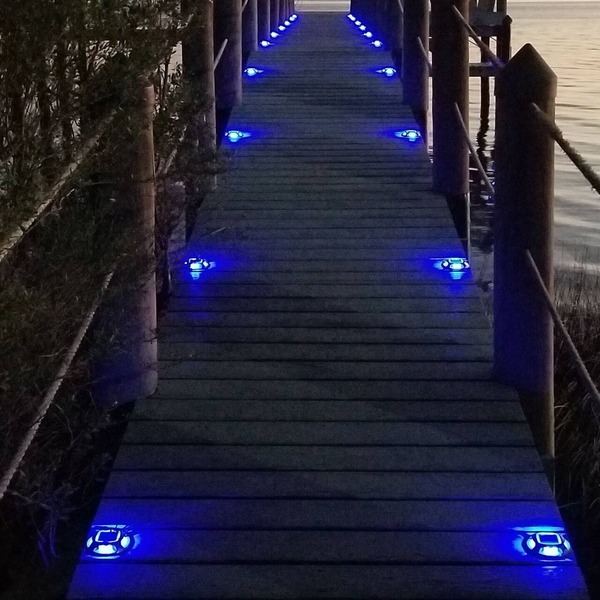 Ochlockonee Bay 4 bedrooms, waterfront, pool, dock, fishing.