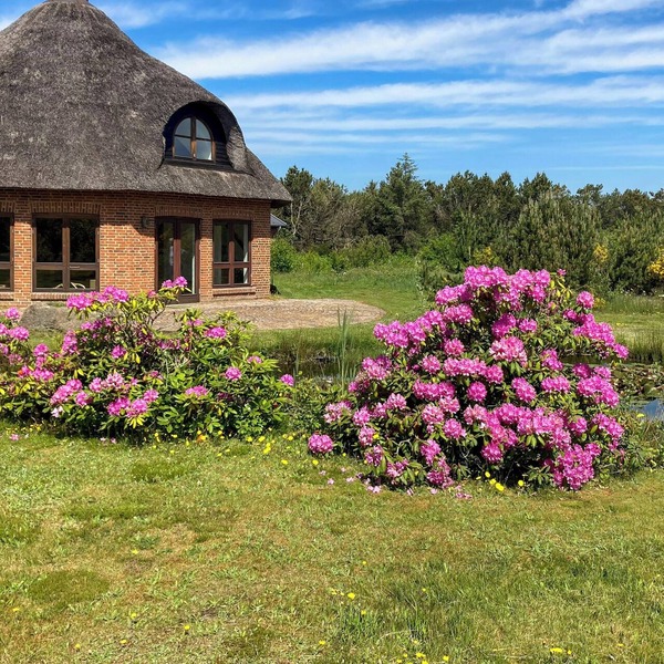 Octagonal thatched forest house near Herning