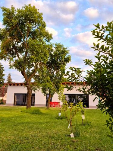 Oderbruch26 mit Sauna-Option