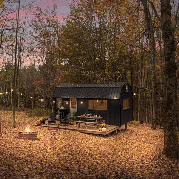 Off-Grid Tiny Cabin with Cozy Vintage Charm