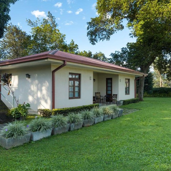 Olive Bungalow