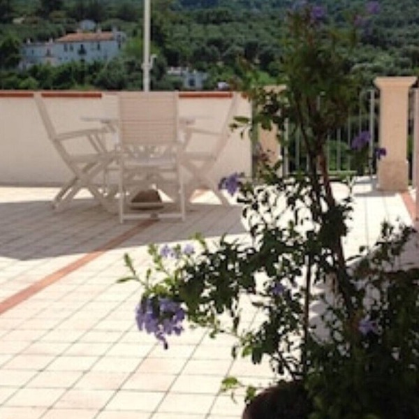 Olive tree - Apartments in old farmhouse