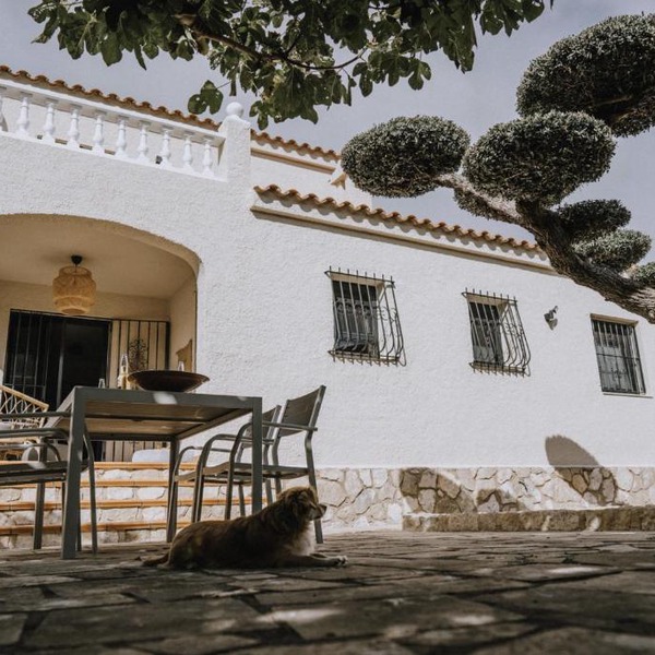 Oliveres3