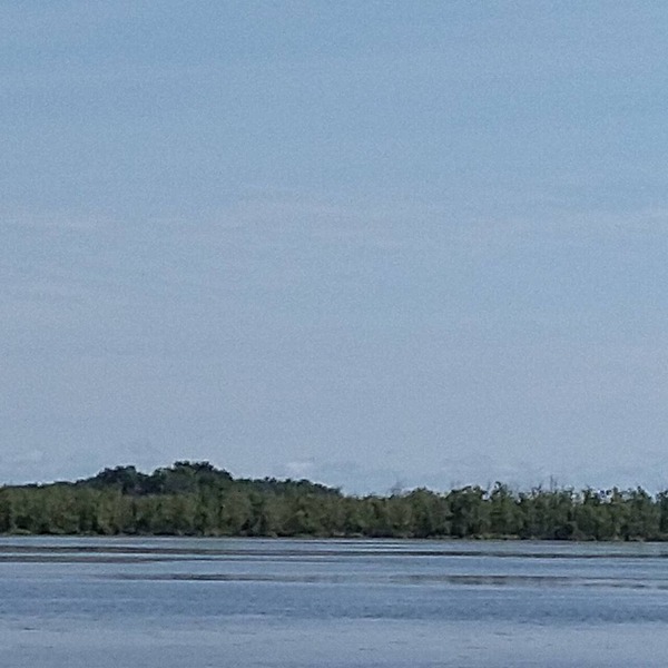 Oneida Lake Fishing, With a Game Room